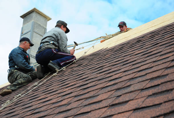 Best Shingle Roofing Installation  in Wrens, GA