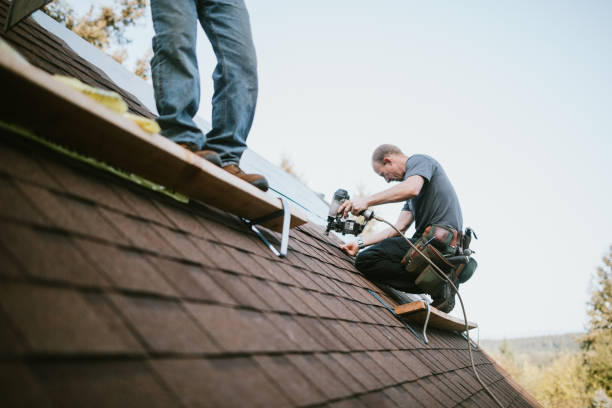 Best Shingle Roofing Installation  in Wrens, GA